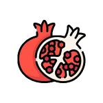 دسته انار ارگانیک