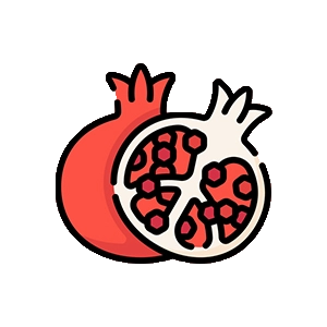 دسته انار ارگانیک